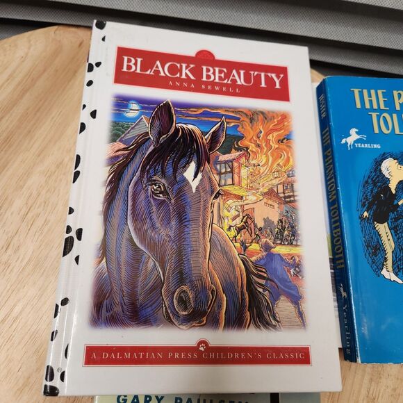 Kids Junior Book Lot of 6 | Classic Chapter Books Bundle - Picture 2 of 7